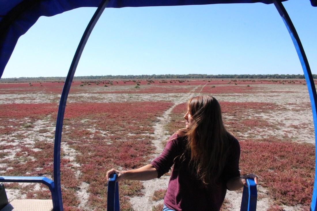 8ebc2b190b01f2f9ffd56dceeec632f8