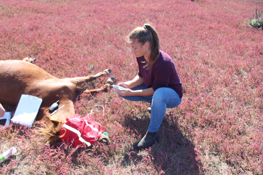 df7b1a94ce9bab002c39e8e3800e1dd6